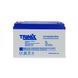 Trinix 12V100Ah/20Hr AGM Акумуляторна батарея 12В 100Аг свинцево-кислотна 44-00047 фото 4